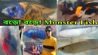 Aquarium Fish Serampore Haat | Serampore Fish Pet Haat | Aquarium Fish | Serampore Pet Market 