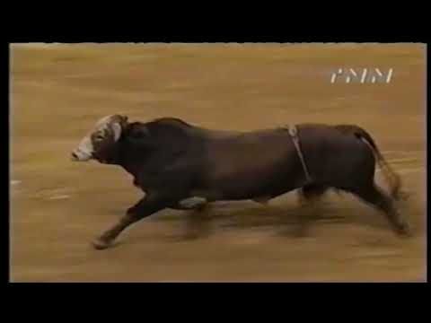 Mossy Oak Shootout: Justin McBride vs Freckles (92.5 pts)