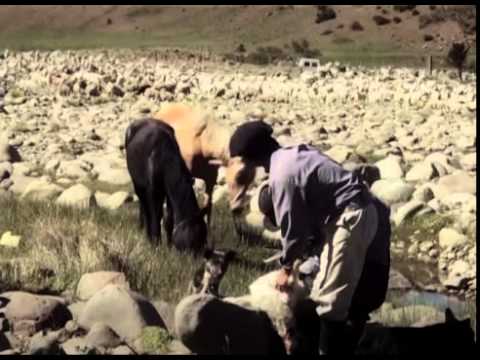 Para los pobres piedras, de Mathieu Orcel - Trailer