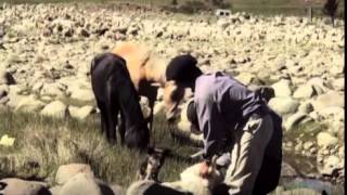 Para los pobres piedras, de Mathieu Orcel - Trailer