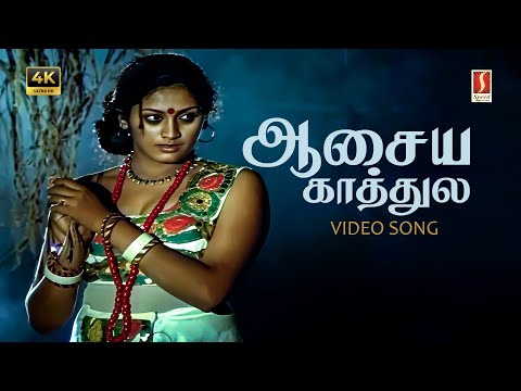 Aasaiye Kaathule Video Song 4K | SP Sailaja | Ilaiyaraaja | Gangai Amaran | Rajinikanth | Subhashini