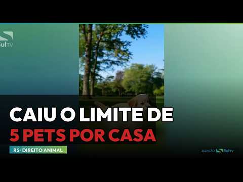 Justiça derruba limite de 5 cães e gatos por casa no RS | SulTV