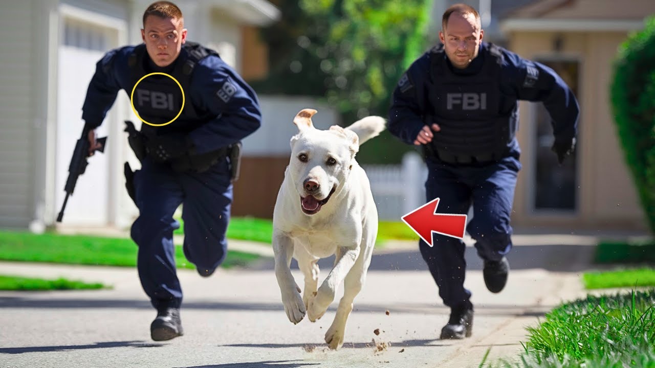 Perro SUPLICA ayuda a los agentes del FBI, Y AL SEGUIRLO QUEDARON PARALIZADOS AL LLEGAR AL LUGAR...