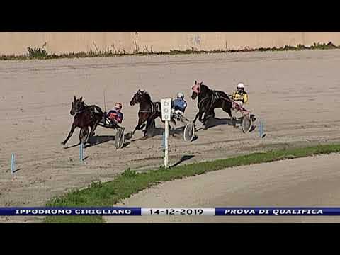 Aversa trotto 14 Dicembre 2019 - Prova di qualifica