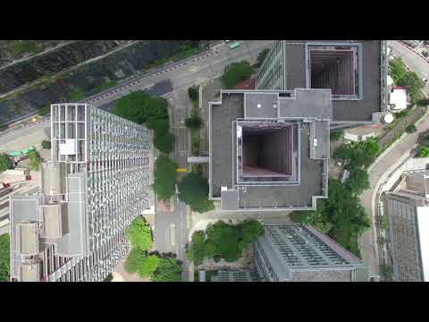Milo Black High Rise Hawkwind cover