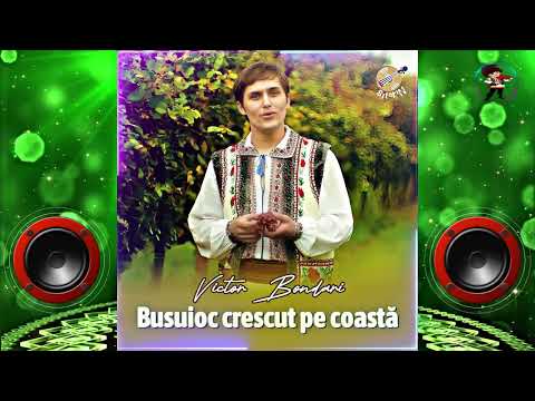 🎵 Victor Bondari  - Busuioc crescut pe coastă 2024 🔊🎶👍