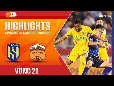 bg-highlight