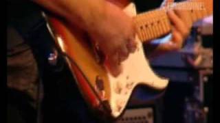 Walter Trout Band (Live at Paradiso): When you love somebody
