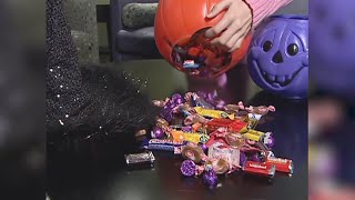 Halloween candy stats: What are the top treats this year?
