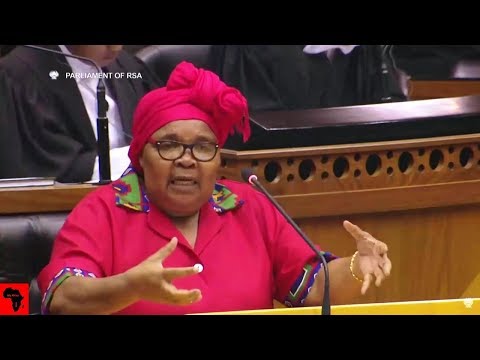 WATCH EFF Mam`Khawula Causing Chaos In Parliament - FUNNY