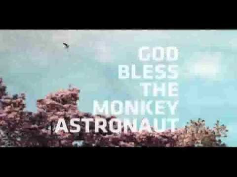 God Bless The Monkey Astronaut - Bald!