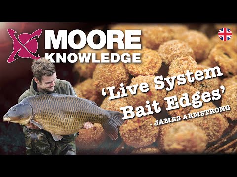 Create The BEST Winter Boilie Mix- Carp Fishing Tips