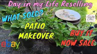 Patio Plants Makeover | Discover Hidden Treasures | Unveils Must-have Items! Vlog #thrifting