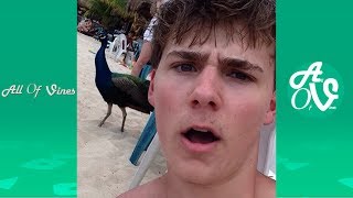 Alex Ernst Vine Compilation With Titles | Alex Ernst All Vines 2014 - 2016