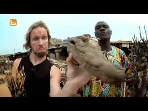 Madventures S03 Trailer