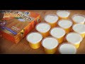 Resep Puding Mangga Agaros Fla Susu Agarista