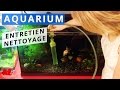 Comment Nettoyer Le Fond D Un Aquarium