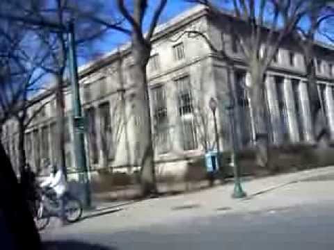 Blasian Family USA Road Trip Day 30 - Boston, MIT, Harvard, Downtown, Chinatown