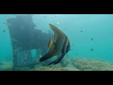 Solomon Islands – Maravagi Bay Wreck - scuba diving video
