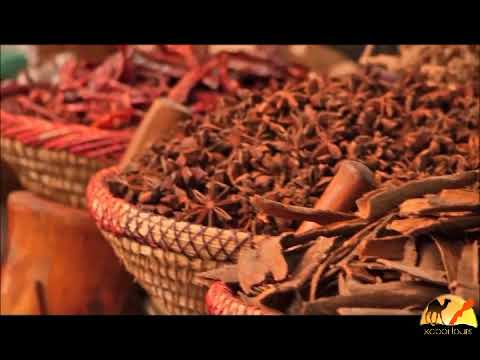 Explore Morocco with Xabbi Tours!