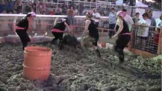 preview picture of video 'Winnemucca Pig Wrestle 2011 - GBG Gold Diggers'