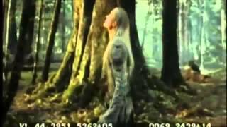 ROTK Epilogue: Legolas in Ithilien