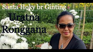 Download lagu Santa Hoky br Ginting - Uratna Ronggana ( Versi Live Streaming) mp3 Download lagu Santa Hoky br Ginting - Uratna Ronggana ( Versi Live Streaming) mp3