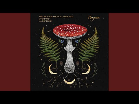 Overload (DSF Remix)