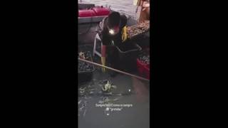 Gabriella Querino, il video di lei a pesca col marito: la coppia è morta in un incidente nautico ...