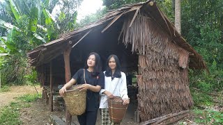 Download lagu Gadis Dayak || Kalau ketemu sayur ini di Hutan Belantara, Boleh dimakan ya!! mp3