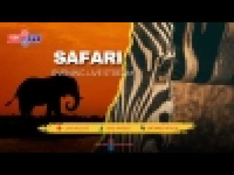 Maasai Mara Wildlife Cams