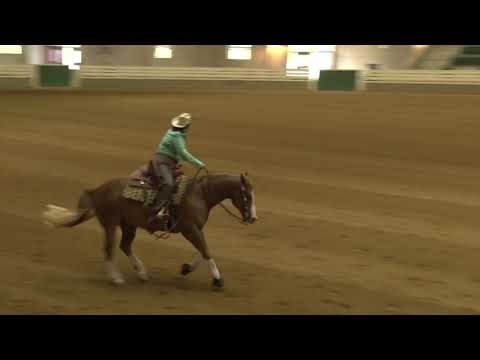 190727 Novice Horse Terri Taffer on FS Lightin Up Gunner