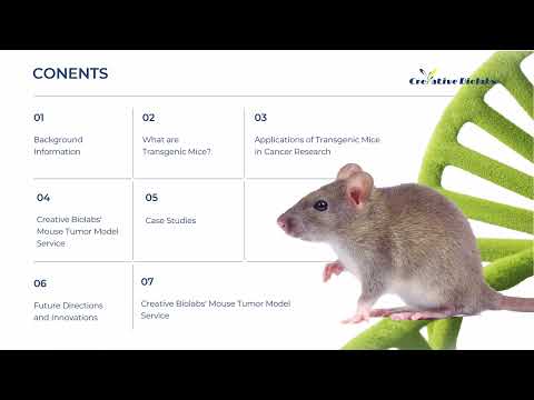 Transgenic Mice in Cancer Research - Creative Biolabs