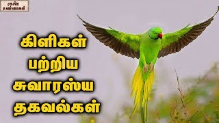 Unknown facts about parrots || Unknown Facts Tamil