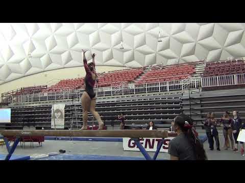 Liz Sander Beam 1 19 19