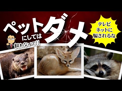 ペットにしてはいけない動物