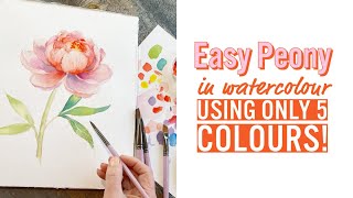 Easy Peony in watercolour, step-by-step