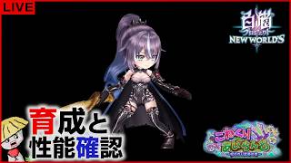 白猫【ライブ配信】こねくりあいらんど キャラの育成＆性能確認【呪われし武器】