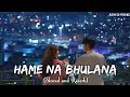 Hame Na Bhulana Slowed Reverb Tere Piyar Main Main Mar Java Song Hame Na Bhulana Sajan Lofi