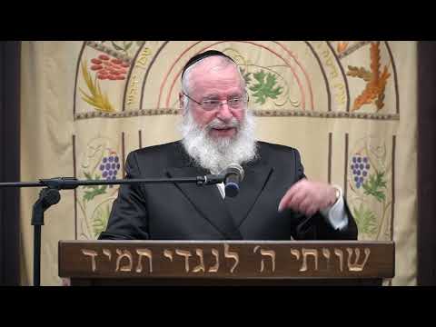 Megillah Reading at Nighttime & Daytime: Which Takes Priority? | Harav Asher Weiss Shlita | 5784