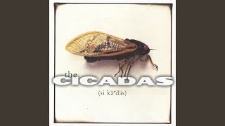 The Cicadas Chords