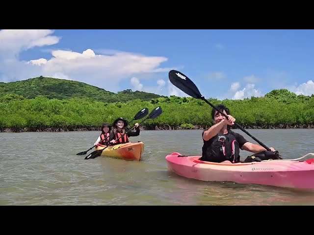 石垣島ドリーム観光
