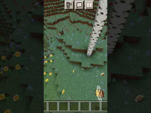 the cursed seed in minecraft #seed/plain biome