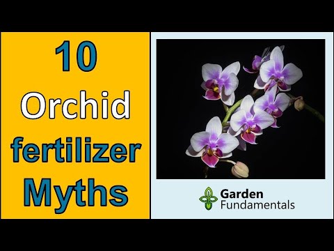 10 Orchid Fertilizer Myths ⏰🧿️🧙 What Recent Science Says