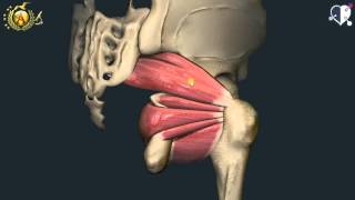 Anteprima video YouTube