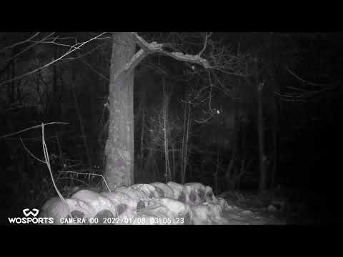 Beaver Street Trail, Waltham, MA