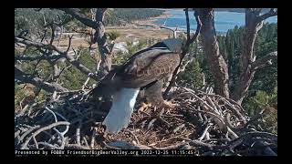 126 Big Bear Bald Eagle Live Nest Cam   YouTube   Google Chrome 2022 12 25 13 21 42
