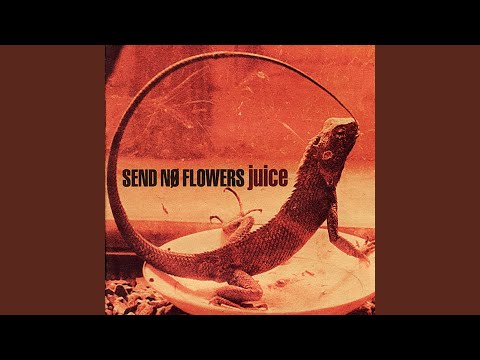 Animal Feeder - Send No Flowers