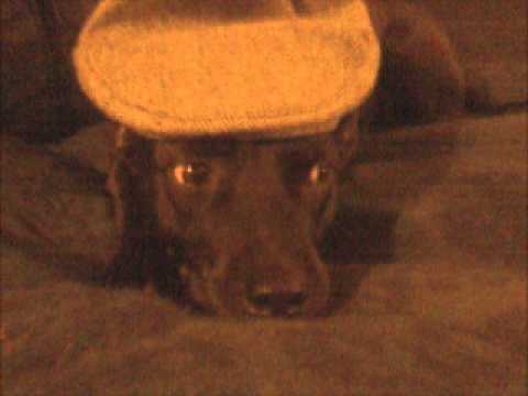 Crazy Little Thing Called Love