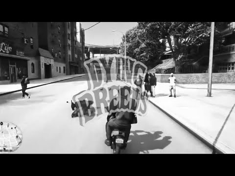 [ZY:RP] Steezo’s Finest.